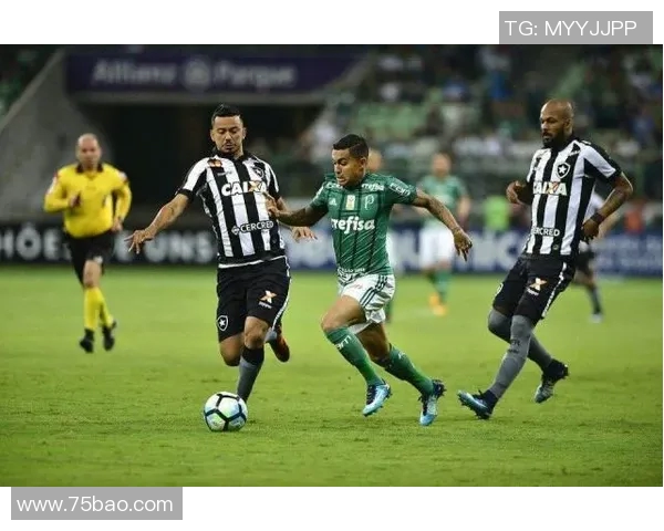 南美解放者杯梅尔加队主场连胜保留晋级希望