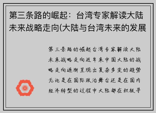 第三条路的崛起：台湾专家解读大陆未来战略走向(大陆与台湾未来的发展)