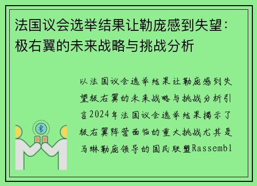 法国议会选举结果让勒庞感到失望：极右翼的未来战略与挑战分析