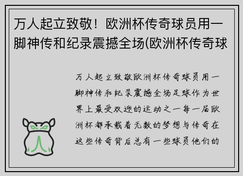 万人起立致敬！欧洲杯传奇球员用一脚神传和纪录震撼全场(欧洲杯传奇球场纪录片)