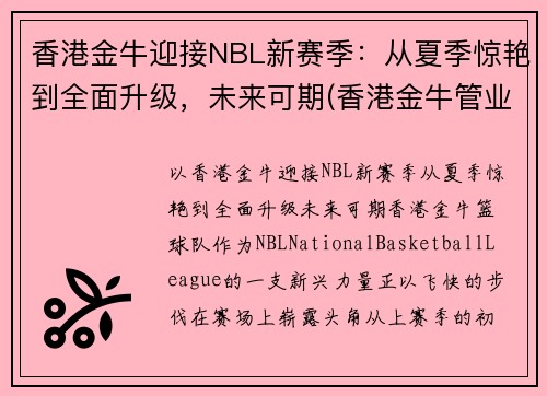 香港金牛迎接NBL新赛季：从夏季惊艳到全面升级，未来可期(香港金牛管业)