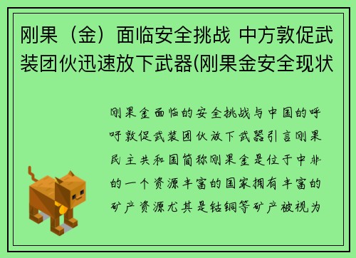 刚果（金）面临安全挑战 中方敦促武装团伙迅速放下武器(刚果金安全现状)